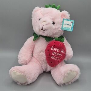 Walgreens Love You Berry Much Pink Bear‎ Plush